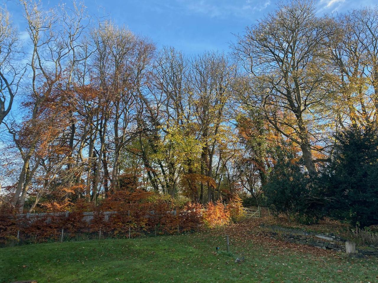 Mill Cottage Garden Studio Nr Melrose Exterior foto